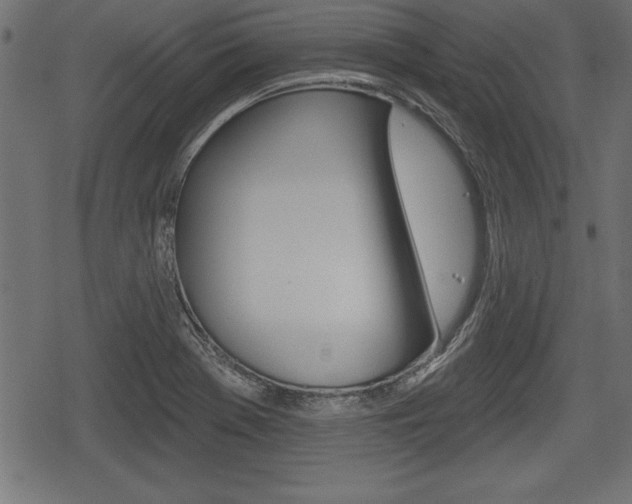 X0000078291369200611030941