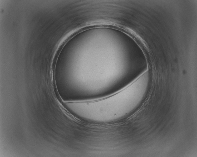 X0000078291372200611030941