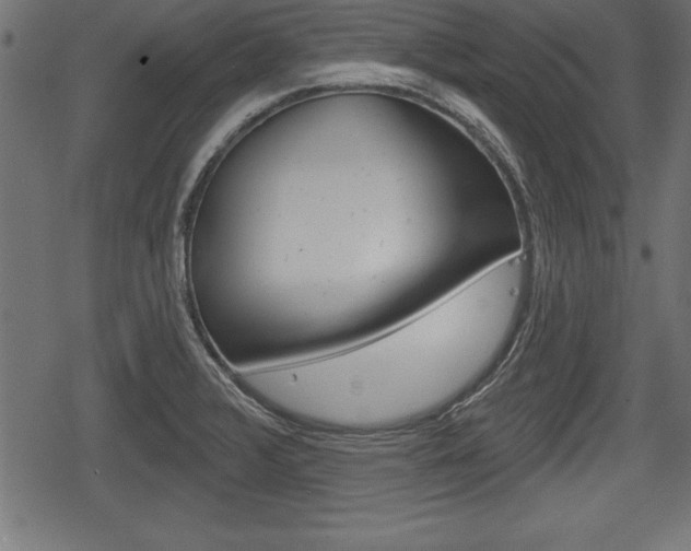 X0000078291376200611030941