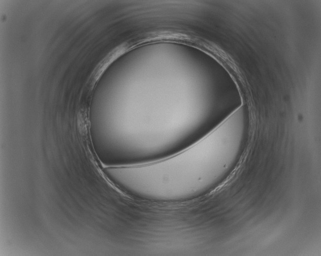 X0000078291377200611030941
