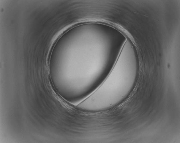 X0000078291380200611030941