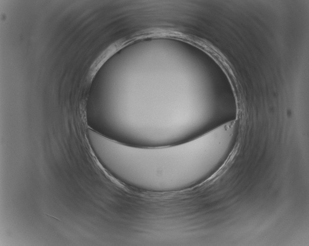 X0000078291385200611030941
