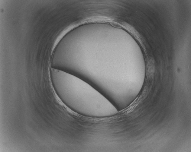 X0000078291390200611030941