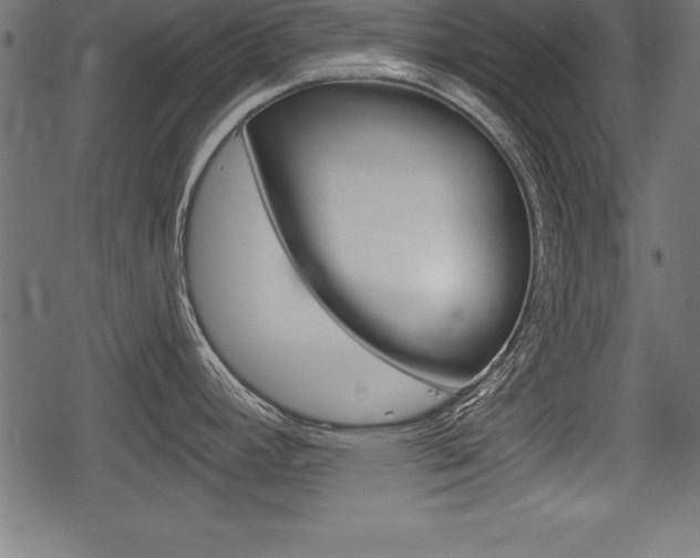 X0000078291392200611030941
