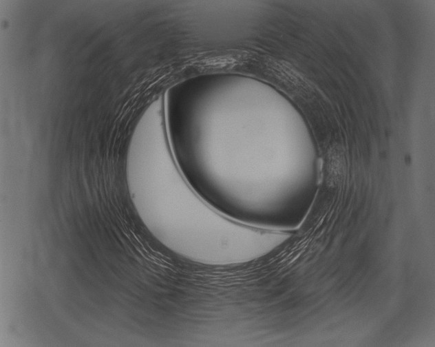 X0000078291394200611030940