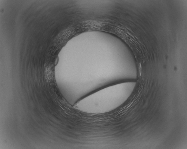 X0000078291395200611030940