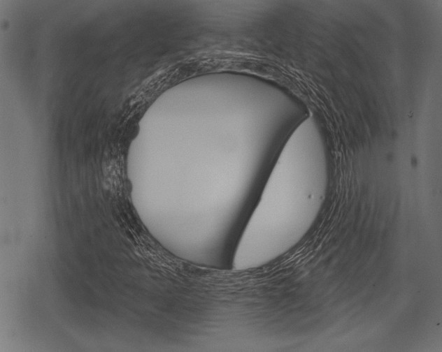 X0000078291397200611030940