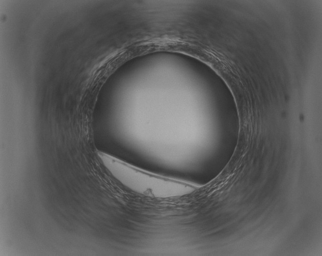 X0000078291398200611030940