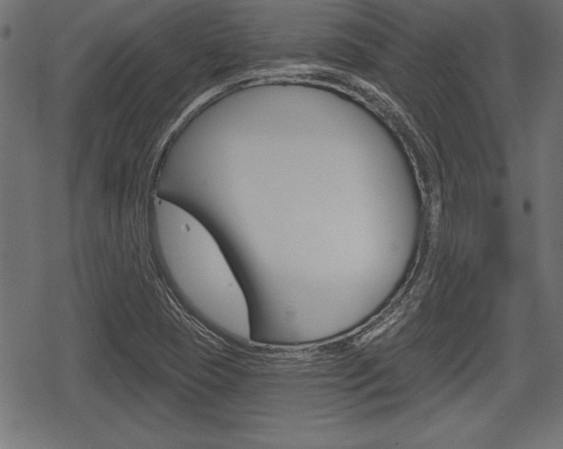 X0000078291409200611030940