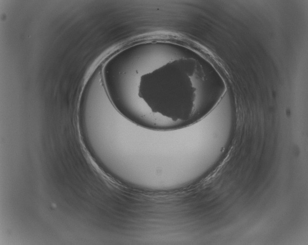 X0000078291418200611030940