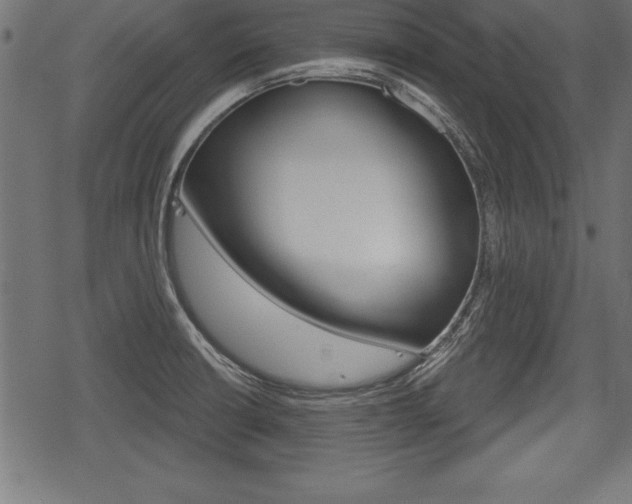 X0000078291426200611030941