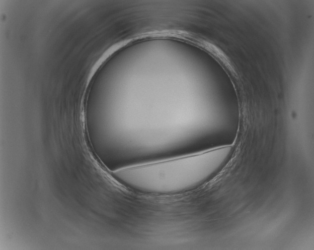 X0000078291428200611030941