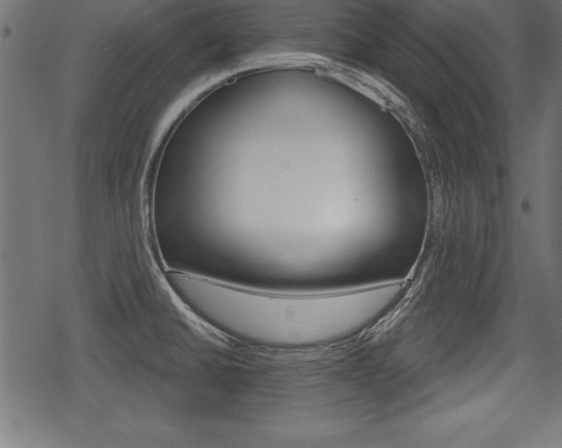 X0000078291430200611030941