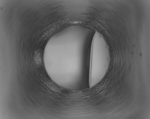 X0000078291442200611030940