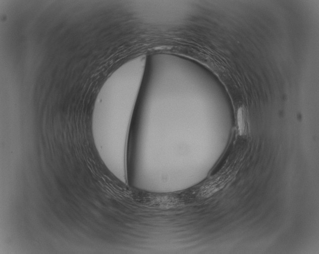 X0000078291443200611030940