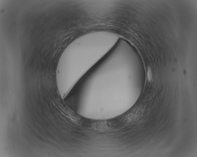 X0000078291444200611030940