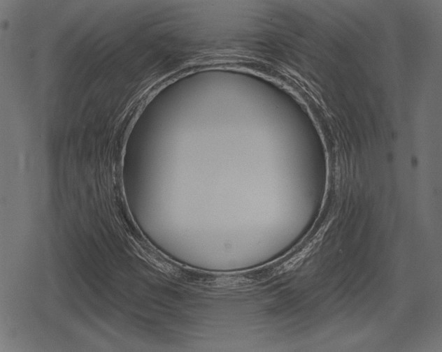 X0000078291449200611030940