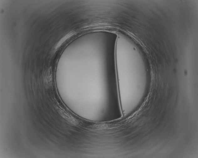 X0000078291450200611030940