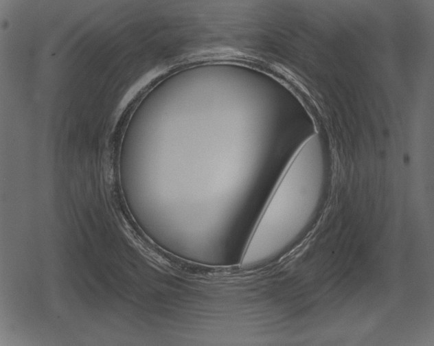 X0000078291458200611030940