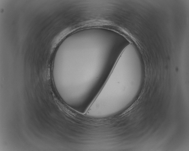 X0000078291459200611030940