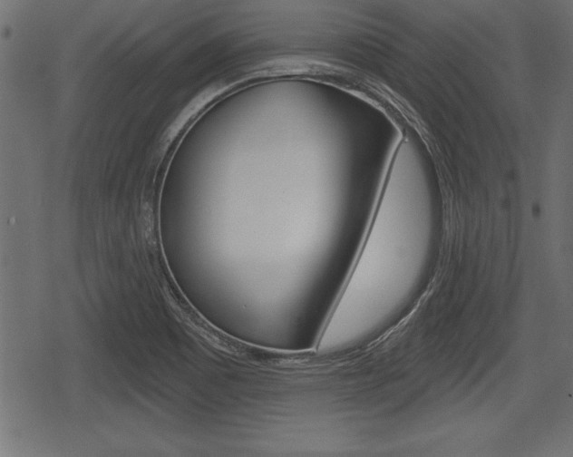 X0000078291465200611030940
