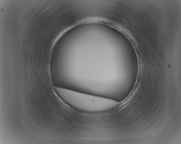 X0000078291473200611030940