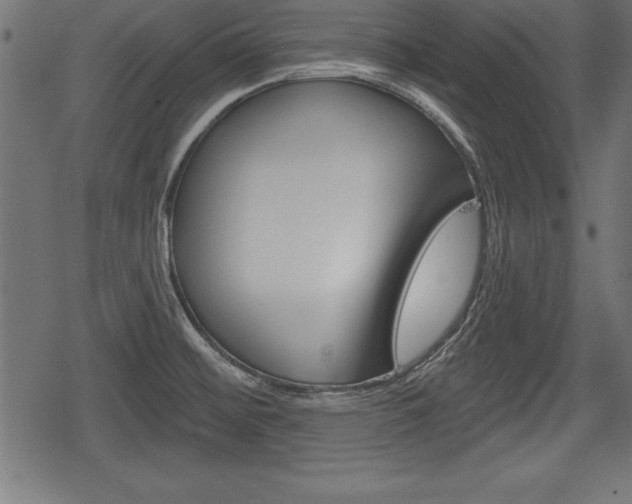 X0000078291476200611030940