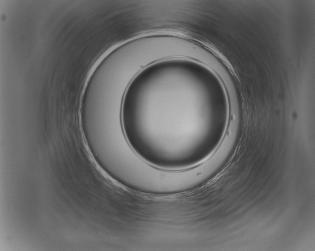 X0000078291484200611030939