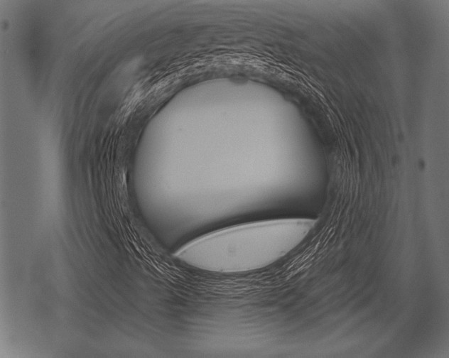 X0000078291489200611030939