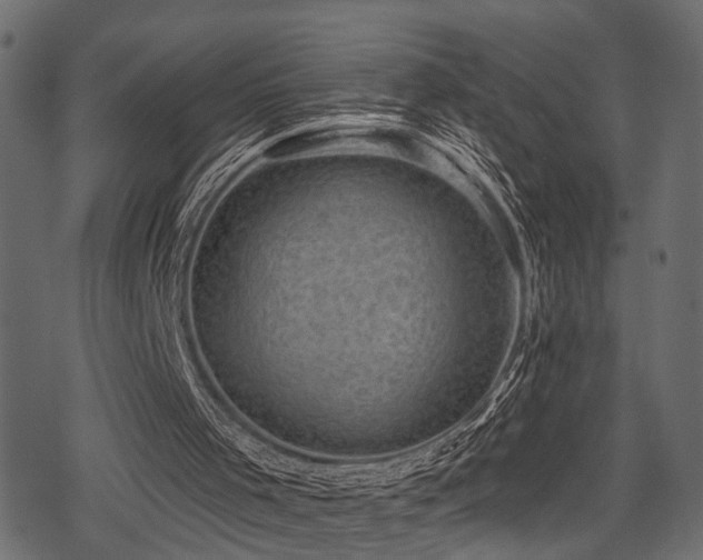 X0000078290001200611031243