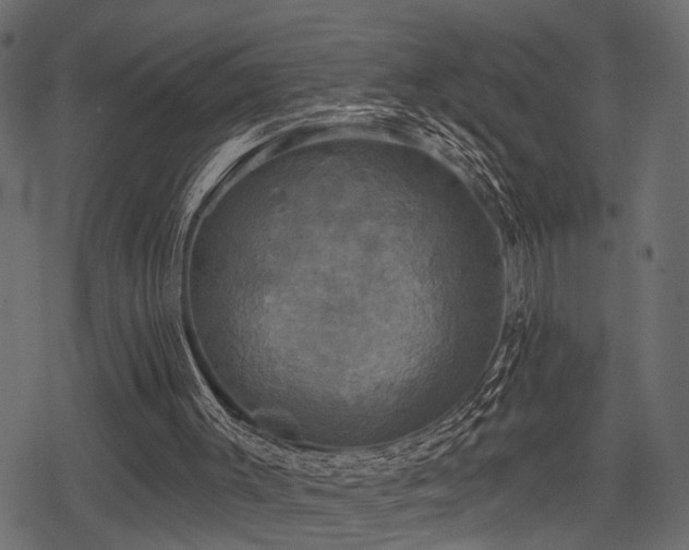 X0000078290003200611031243