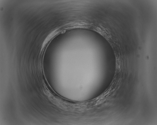 X0000078290004200611031243