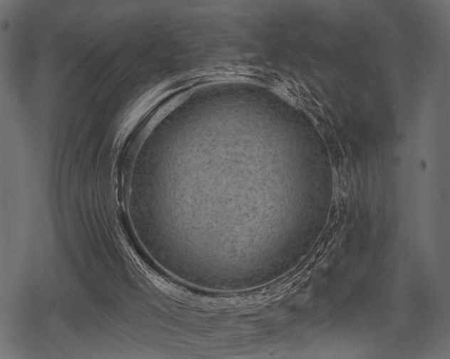 X0000078290005200611031243