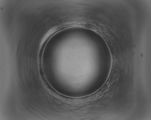 X0000078290006200611031243