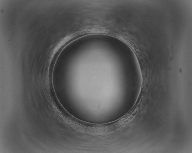 X0000078290008200611031243