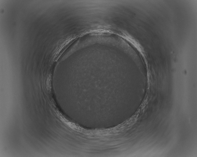 X0000078290009200611031243