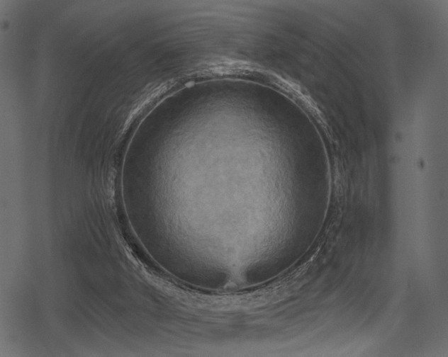 X0000078290010200611031243