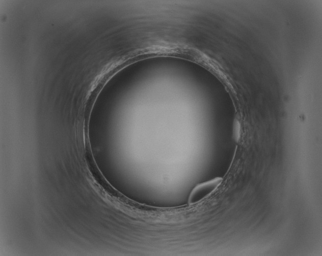 X0000078290011200611031243