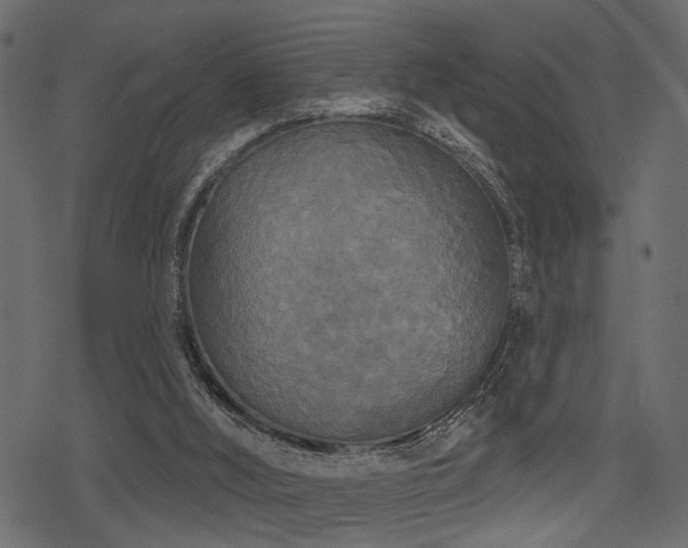 X0000078290012200611031243