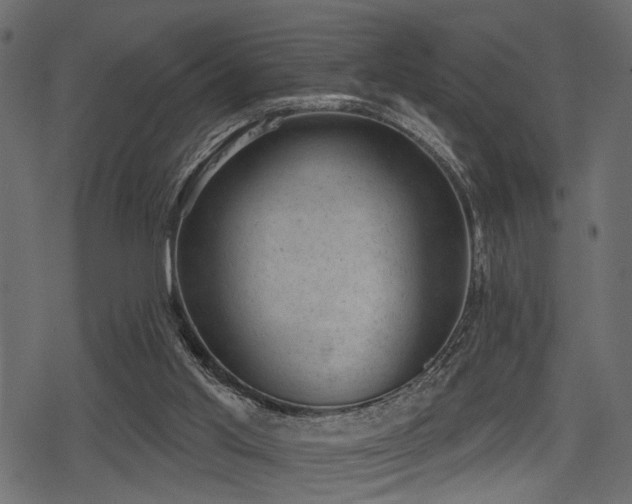 X0000078290013200611031243