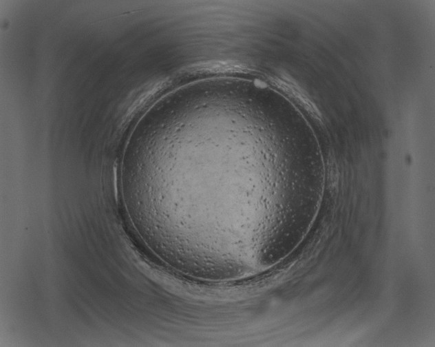 X0000078290014200611031243