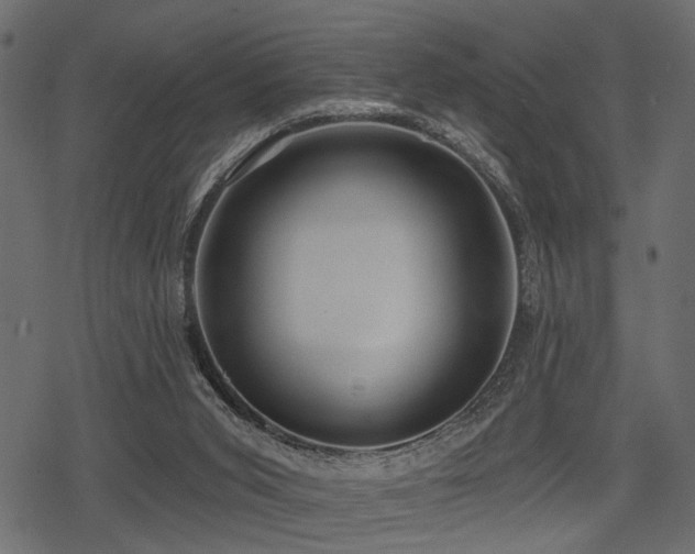 X0000078290015200611031243