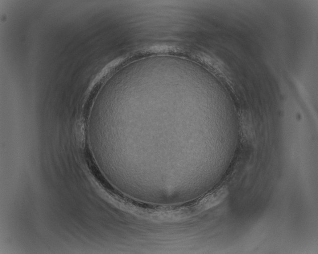 X0000078290016200611031243