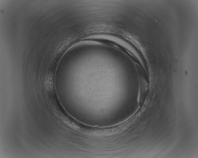 X0000078290017200611031243