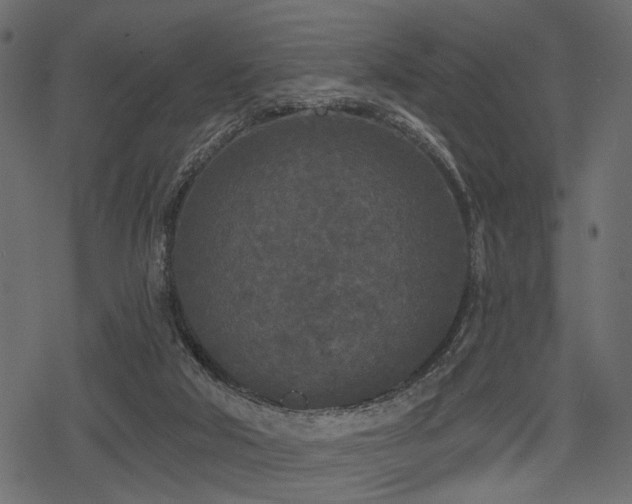 X0000078290018200611031243