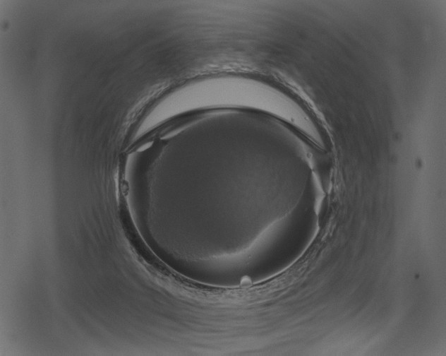 X0000078290019200611031243