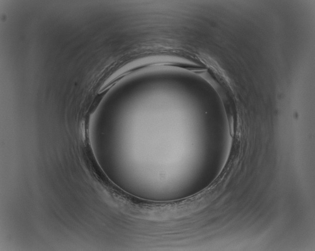 X0000078290021200611031243