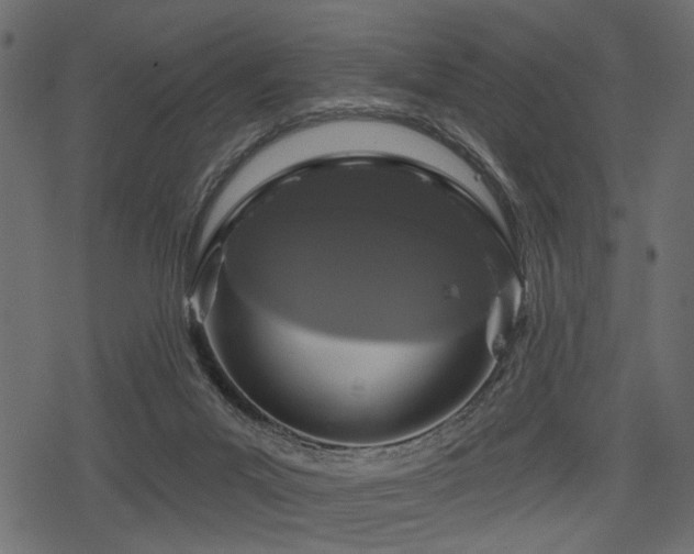 X0000078290023200611031243