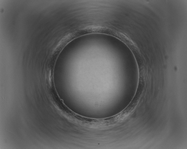 X0000078290024200611031243