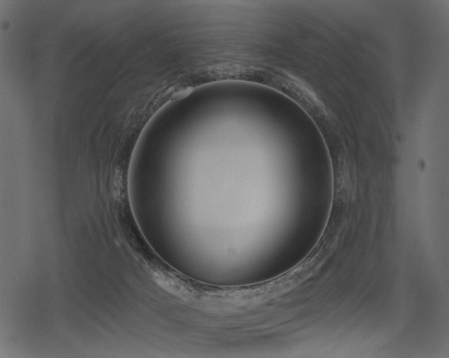 X0000078290025200611031243